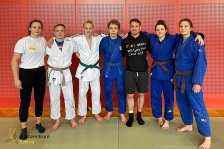 29.05.2021 Judo-NÖ Trainertag